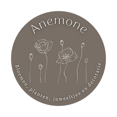 Logo van sponsor - Anemone